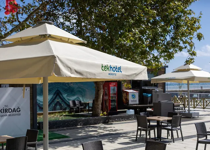 Tek Mürefte * Sarkoy